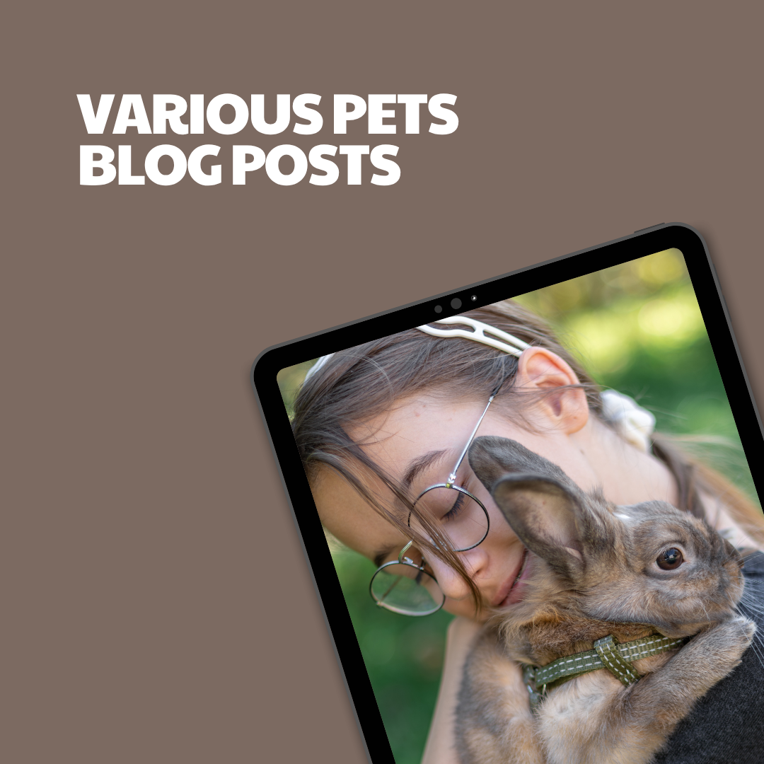 Various Pets – 5 Pre-Written Articles