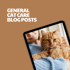 General Cat Care – 8 Pre-Written Articles