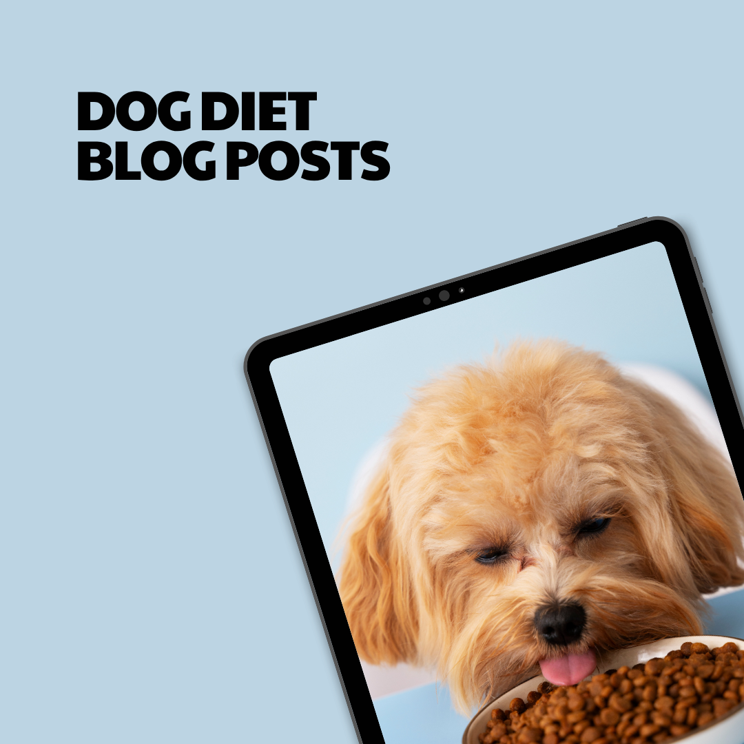 Dog Diet – 12 Pre-Written Articles