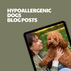 Hypoallergenic Dogs – 7 Premium Articles