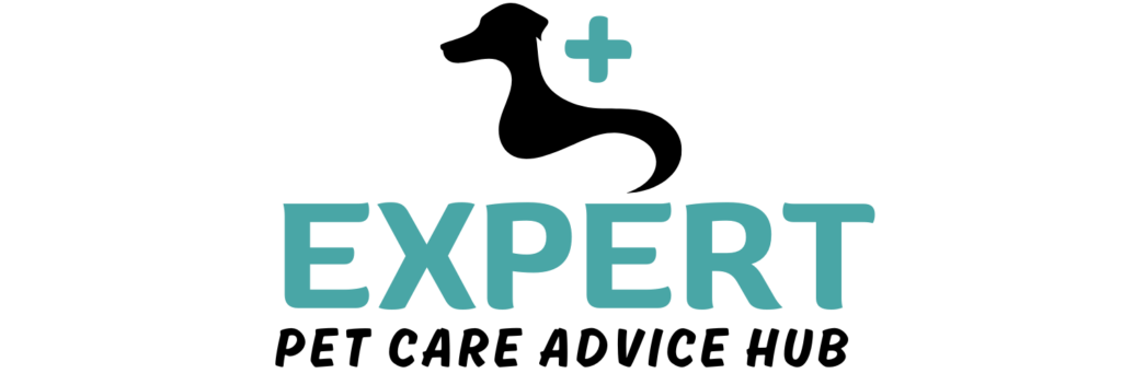 Expert Pet Care Advice Hub